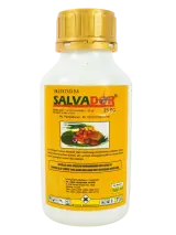 SALVADOR 25EC