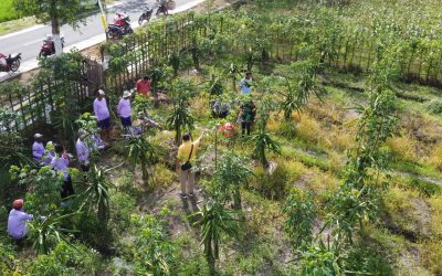 Demo Plot - Jawa Timur