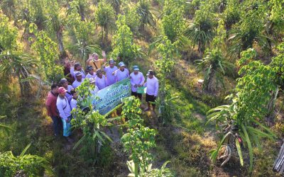 Farm Field Day - Jawa Timur