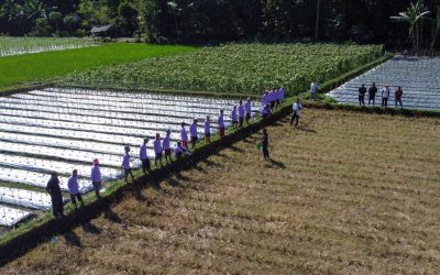 Demo Plot - Jawa Timur