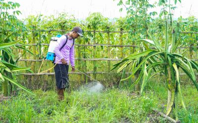 Demo Plot - Jawa Timur