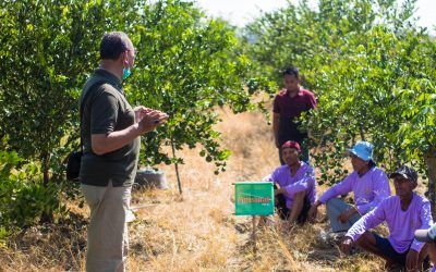 Demo Plot - Jawa Timur