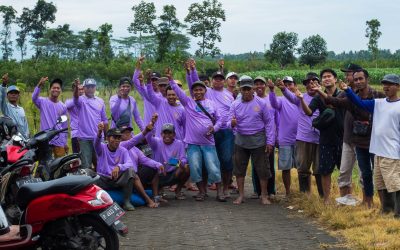 Farm Field Day - Jawa Timur